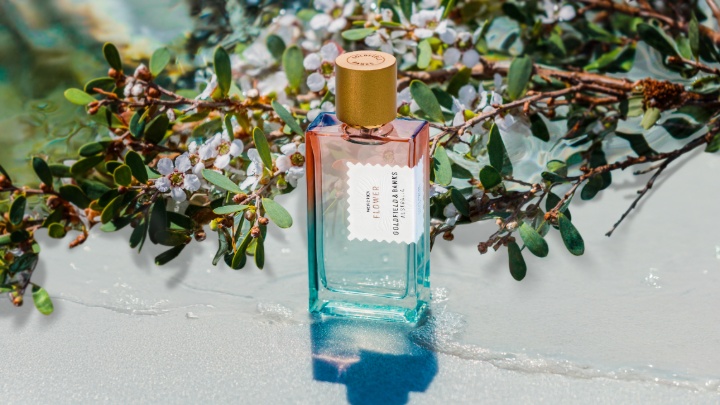 Image of GOLDFIELD&BANKS EDP
